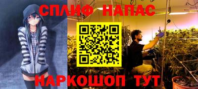 ГАЛЛЮЦИНОГЕННЫЕ ГРИБЫ Донецк